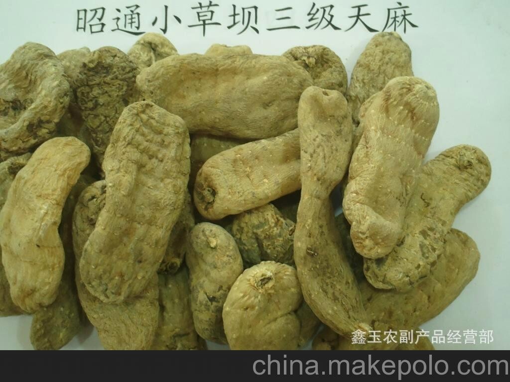 天麻 云南昭通小草壩天麻 仿野生種植天麻 產(chǎn)地直供天麻干.