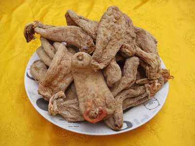 天麻的功效與作用及食用方法 15大功效詳解!