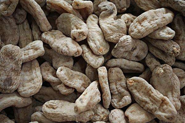 略陽(yáng)縣天麻資源綜合開發(fā)項(xiàng)目