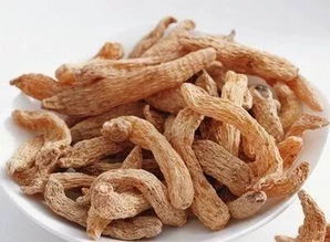 天麻的功效及如何辨別野天麻和普通天麻